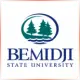 Bemidji State University - Marketing School Ranking