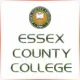 Essex County College - Marketing School Ranking