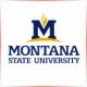Montana State University Northern - Marketing School Ranking