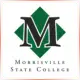 Morrisville State College - Marketing School Ranking