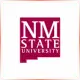 New Mexico State University - Marketing School Ranking
