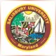 Salisbury University - Marketing School Ranking