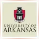 University of Arkansas - Marketing School Ranking
