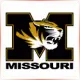 University of Missouri St Louis - Marketing School Ranking