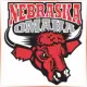 University of Nebraska at Omaha - Marketing School Ranking